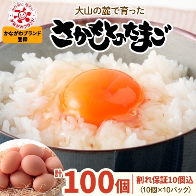 大山の麓で育ったさかもとのたまご 計100個(90個+割れ保証10個/10個×10パック)