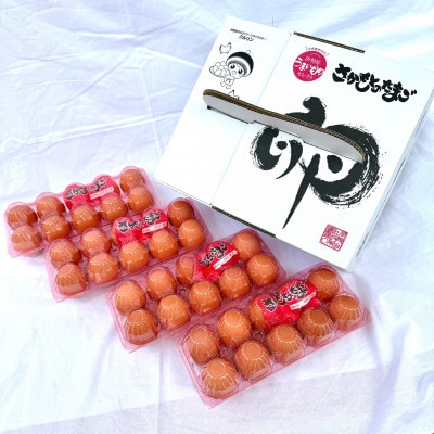 【毎月定期便】合計240個 大山の麓で育ったさかもとのたまご (10個×4パック)全6回