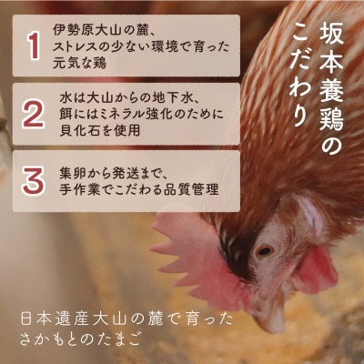 【2週間毎定期便】合計480個 大山の麓で育ったさかもとのたまご (10個×4パック)全12回