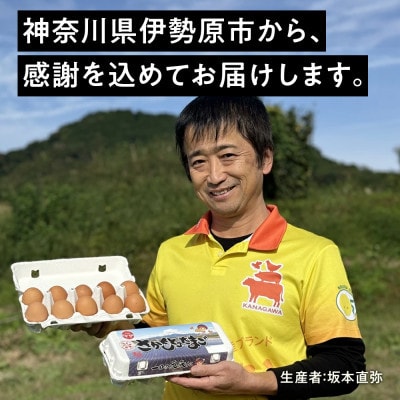 【2週間毎定期便】合計480個 大山の麓で育ったさかもとのたまご (10個×4パック)全12回
