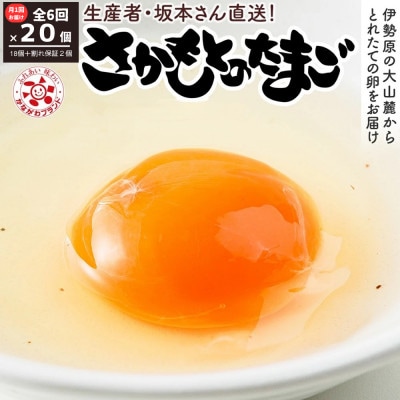 【毎月定期便】合計120個 大山の麓で育ったさかもとのたまご (10個×2パック)全6回