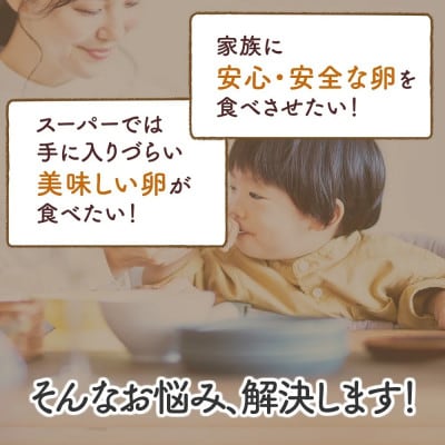 【毎月定期便】合計120個 大山の麓で育ったさかもとのたまご (10個×2パック)全6回
