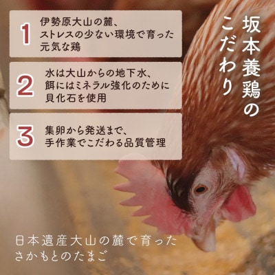 【2週間毎定期便】合計120個 大山の麓で育ったさかもとのたまご (10個×2パック)全6回