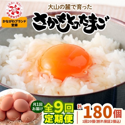 【発送月固定定期便】合計180個さかもとのたまご (10個×2パック)全9回