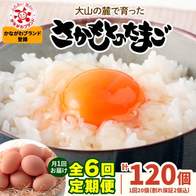 【発送月固定定期便】合計120個さかもとのたまご (10個×2パック)全6回