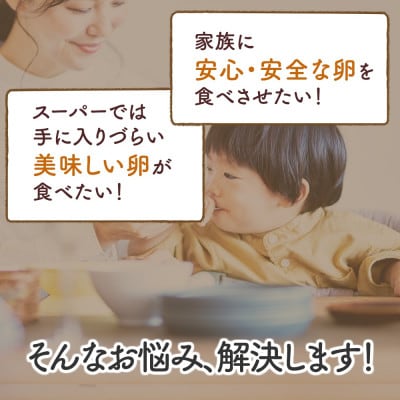 【毎月定期便】合計120個 大山の麓で育ったさかもとのたまご (10個×2パック)全6回