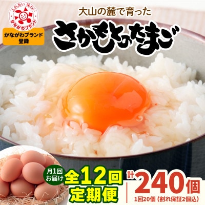 【毎月定期便】合計240個 大山の麓で育ったさかもとのたまご (10個×2パック)全12回