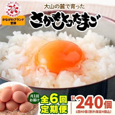 【毎月定期便】合計240個 大山の麓で育ったさかもとのたまご (10個×4パック)全6回