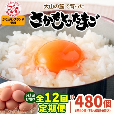 【毎月定期便】合計480個 大山の麓で育ったさかもとのたまご (10個×4パック)全12回