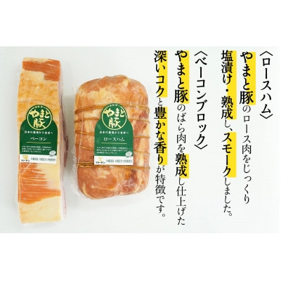 フリーデン やまと豚 ロースハムとベーコンのセット [0368]