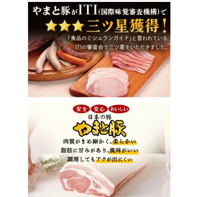 フリーデン やまと豚 ロースハムとベーコンのセット [0368]