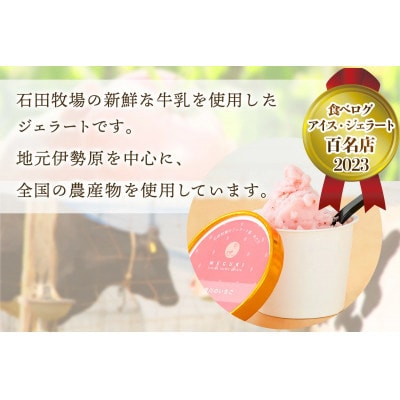 【3ヵ月毎定期便】石田牧場のジェラート屋めぐり おまかせ ジェラート12個セット [0358]全4回