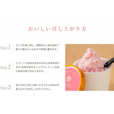 【3ヵ月毎定期便】石田牧場のジェラート屋めぐり おまかせ ジェラート 6個セット [0357]全4回