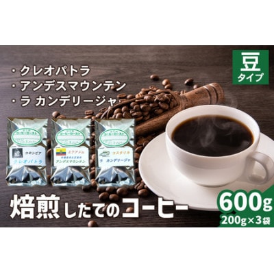 コーヒー豆3袋(クレオパトラ/アンデスマウンテン/ラ カンデリージャ)