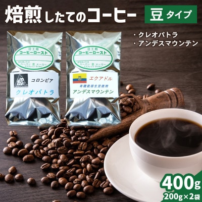 コーヒー豆2袋(クレオパトラ/アンデスマウンテン)