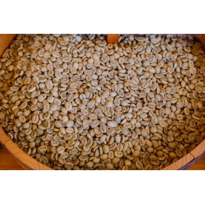 コーヒー豆2袋(クレオパトラ/アンデスマウンテン)