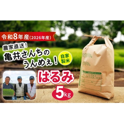 【先行予約】令和8年産 伊勢原産 新米 精米5kg はるみ 農家直送!亀井さんちのうんめぇ米