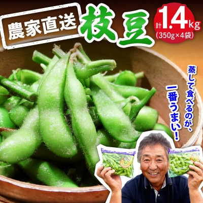 【先行予約】枝豆 1.4kg (350g×4袋) 農家直送!亀井さんちの採れたて枝豆