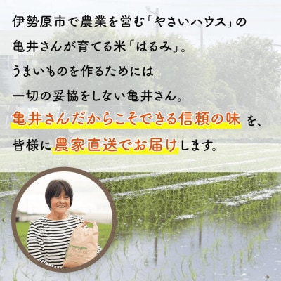 【先行予約】[令和8年産] 伊勢原産 精米 10kg はるみ 農家直送!亀井さんちのうんめぇ米