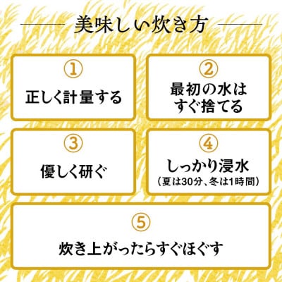 【先行予約】[令和8年産] 伊勢原産 精米 10kg はるみ 農家直送!亀井さんちのうんめぇ米