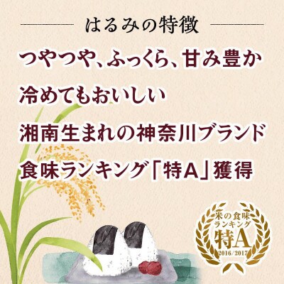 【毎月定期便】伊勢原産 精米はるみ5kg 農家直送!亀井さんちのうんめぇ自家製米全3回