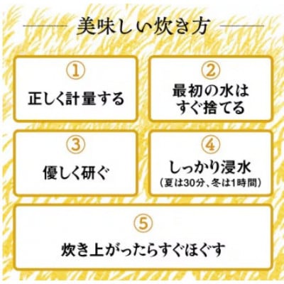【発送月固定定期便】10月下旬より順次発送　伊勢原産 精米 合計30kg はるみ全3回