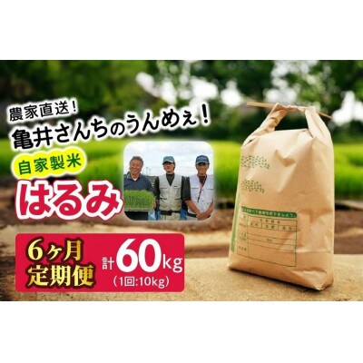 【発送月固定定期便】10月下旬から発送　伊勢原産 精米 10kg はるみ全6回
