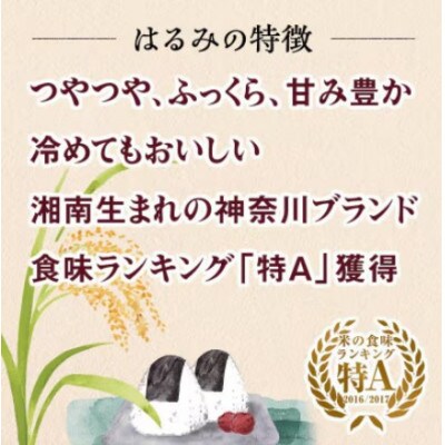 【発送月固定定期便】10月下旬から発送　伊勢原産 精米 10kg はるみ全6回