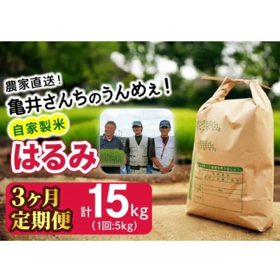 【発送月固定定期便】10月下旬より順次発送　伊勢原産 精米 合計15kg はるみ全3回