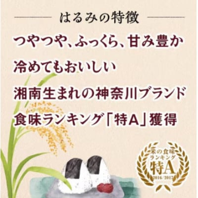 【発送月固定定期便】10月下旬より順次発送　伊勢原産 精米 合計15kg はるみ全3回
