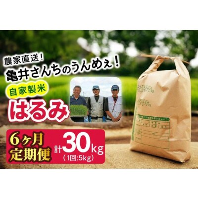 【発送月固定定期便】10月下旬より順次発送　伊勢原産 精米 合計30kg はるみ全6回