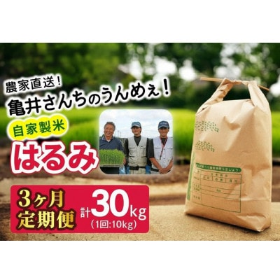【毎月定期便】合計30kg はるみ 伊勢原産 精米10kg全3回