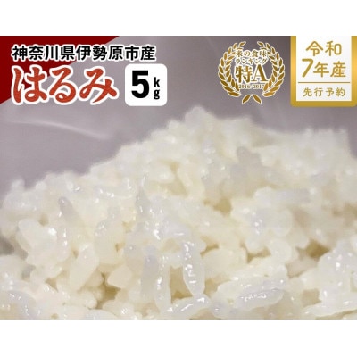 【先行受付】新米[令和7年産]伊勢原産 精米 5kg はるみ 農家直送!加藤さんちのうんめぇ米