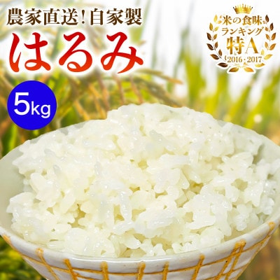 新米[令和7年産]伊勢原産 精米 5kg はるみ 農家直送!加藤さんちのうんめぇ米