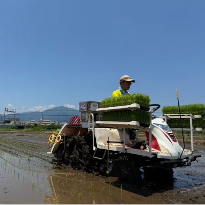【先行受付】新米[令和7年産]伊勢原産 精米 5kg はるみ 農家直送!加藤さんちのうんめぇ米