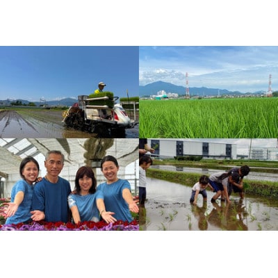 新米[令和7年産]伊勢原産 精米 5kg はるみ 農家直送!加藤さんちのうんめぇ米