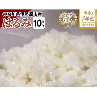 【先行受付】新米 [令和7年産] 伊勢原産 精米 10kg はるみ 農家直送!