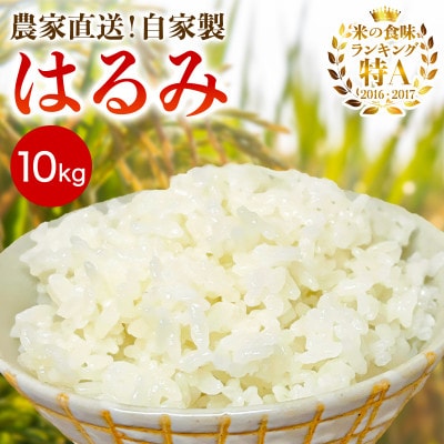 新米[令和7年産]伊勢原産 精米 10kg はるみ 農家直送!加藤さんちのうんめぇ米