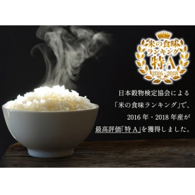 新米[令和7年産]伊勢原産 精米 10kg はるみ 農家直送!加藤さんちのうんめぇ米