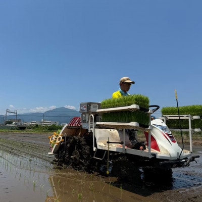 【先行受付】新米 [令和7年産] 伊勢原産 精米 10kg はるみ 農家直送!