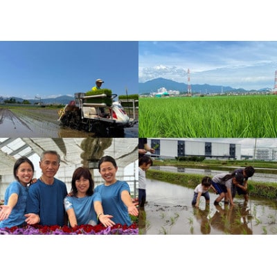 新米[令和7年産]伊勢原産 精米 10kg はるみ 農家直送!加藤さんちのうんめぇ米