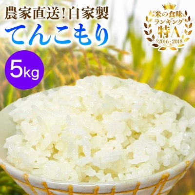 【先行受付】新米[令和7年産]伊勢原産 精米 5kg てんこもり 農家直送!加藤さんちのうんめぇ米
