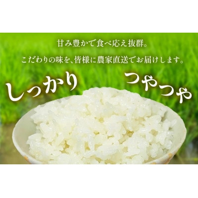 【先行受付】新米[令和7年産]伊勢原産 精米 5kg てんこもり 農家直送!加藤さんちのうんめぇ米