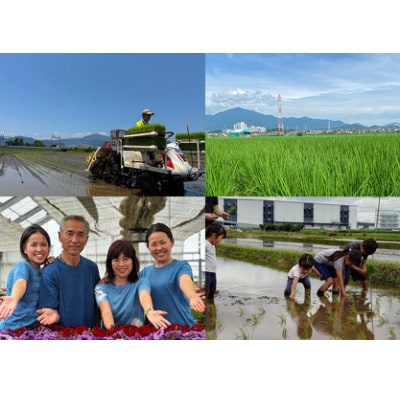 新米[令和7年産]伊勢原産 精米 5kg てんこもり 農家直送!加藤さんちのうんめぇ米