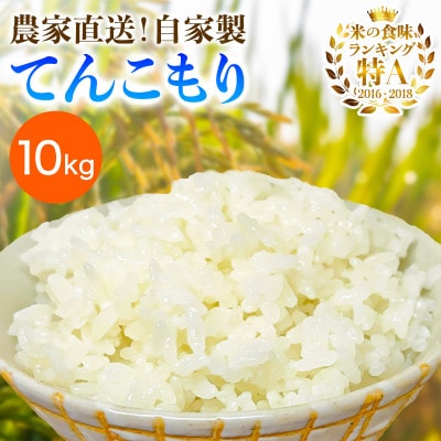 【先行受付】新米[令和7年産]伊勢原産 精米10kg てんこもり 農家直送!加藤さんちのうんめぇ米