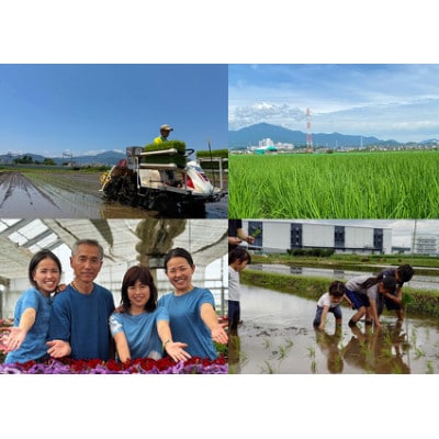 新米[令和7年産]伊勢原産 精米10kg てんこもり 農家直送!加藤さんちのうんめぇ米