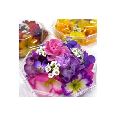 農家直送!加藤さんちのエディブルフラワー 3パック (1パックあたり季節のお花15輪から30輪)