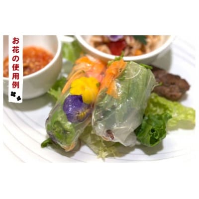 農家直送!加藤さんちのエディブルフラワー 3パック (1パックあたり季節のお花15輪から30輪)