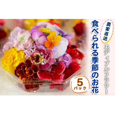 農家直送!加藤さんちのエディブルフラワー 5パック (1パックあたり季節のお花15輪から30輪)