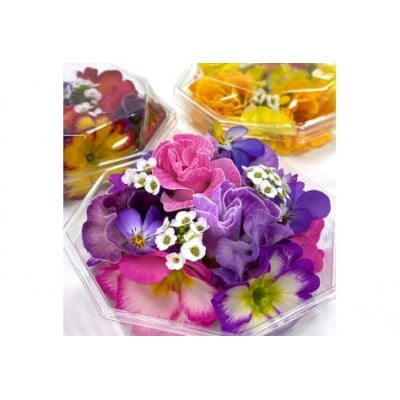 農家直送!加藤さんちのエディブルフラワー 5パック (1パックあたり季節のお花15輪から30輪)